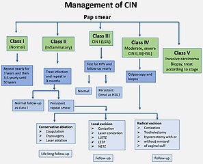 File:Management of Cervical Intraepithelial Neoplasia.jpg - Wikimedia Commons