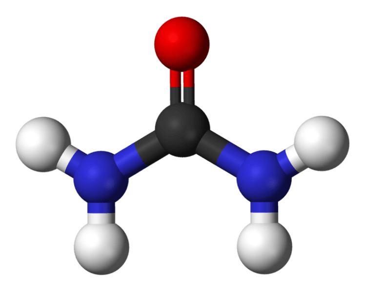 Blood urea nitrogen - Wikipedia