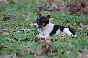 Page 3 - Royalty-free bored photos free download - Pxfuel