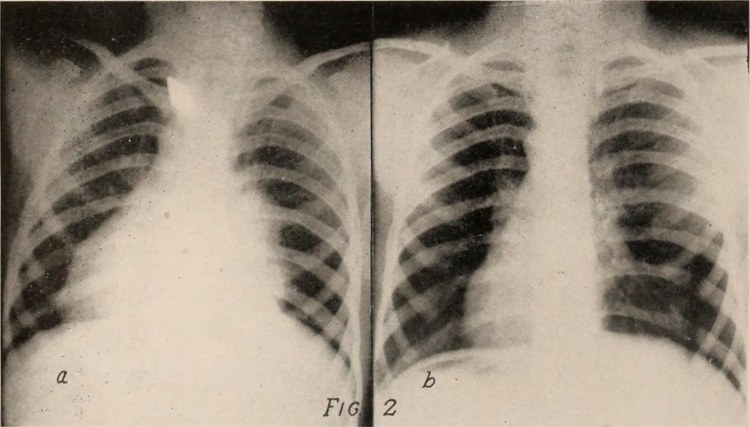 Image from page 247 of 