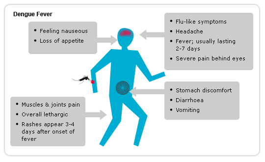 febrile reactions